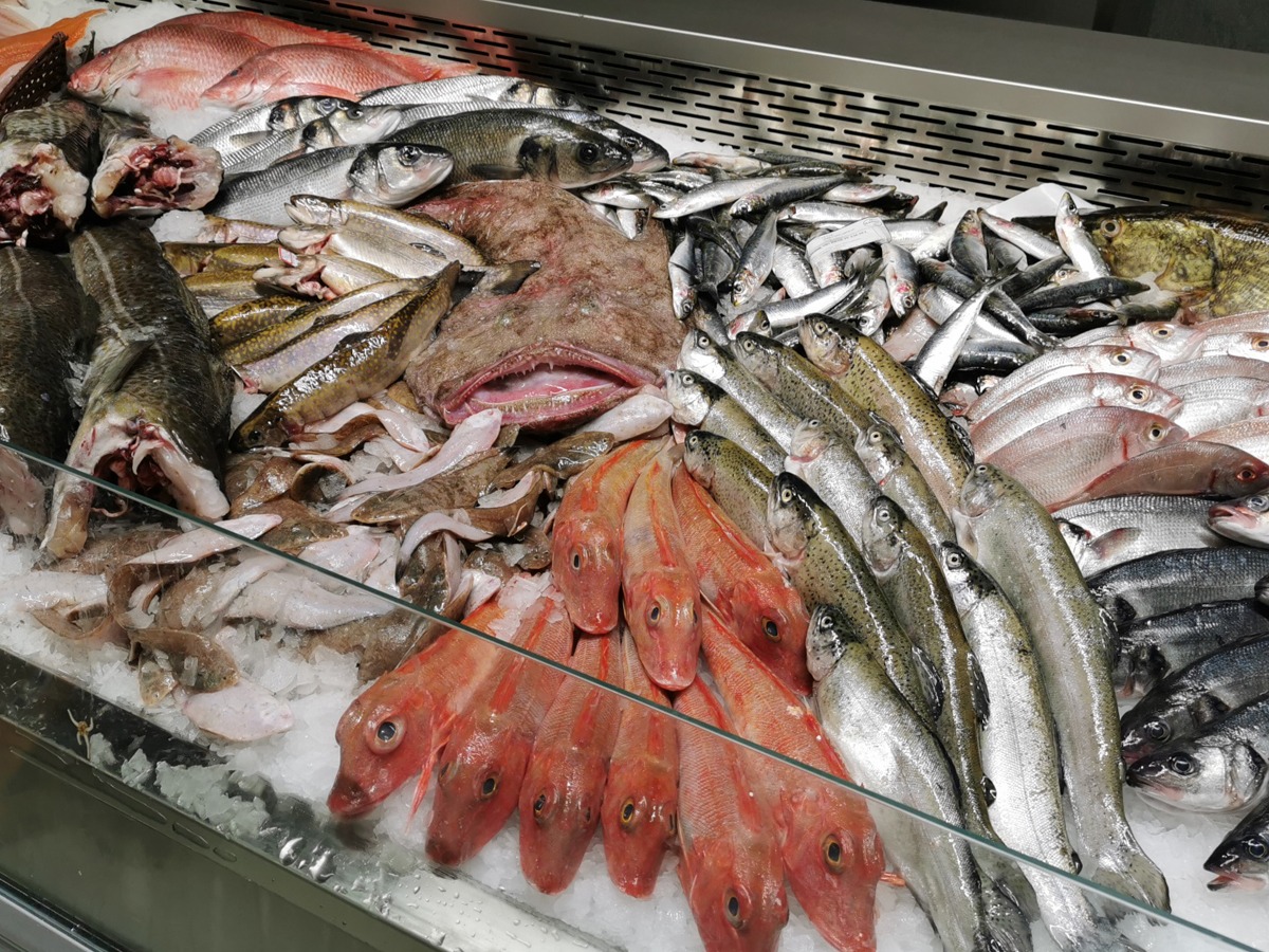 poissons-poissonnerie-belfort poissons-poissonnerie-belfort